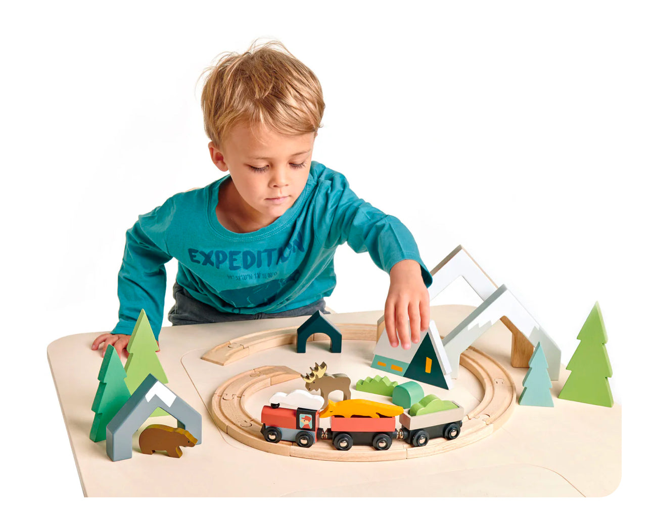 Treetop Train Set